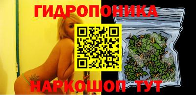 jwh Севастополь